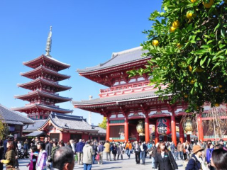 dsc_0016 dsc_0016