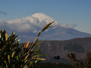 dsc_0138 dsc_0138