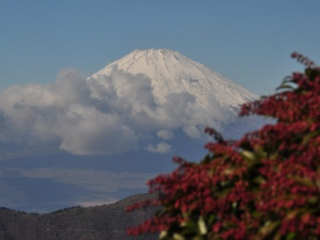 dsc_0139 dsc_0139