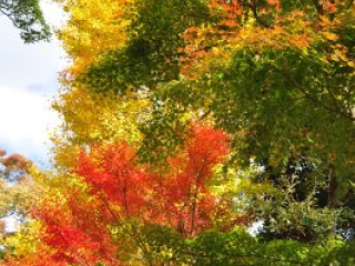 dsc_0215 dsc_0215