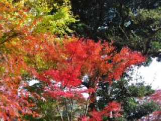dsc_0233 dsc_0233