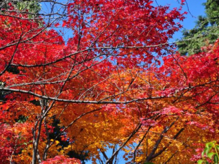 dsc_0346 dsc_0346
