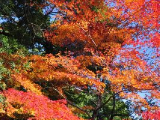 dsc_0465 dsc_0465