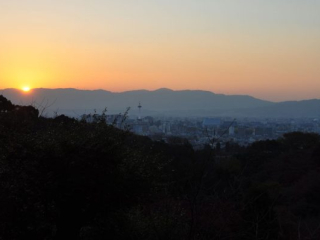 dsc_0515 dsc_0515