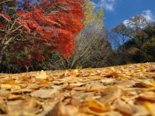 dsc_0594 dsc_0594