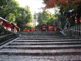 dsc_0725 dsc_0725