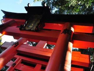 dsc_0737 dsc_0737