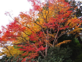 dsc_0863 dsc_0863