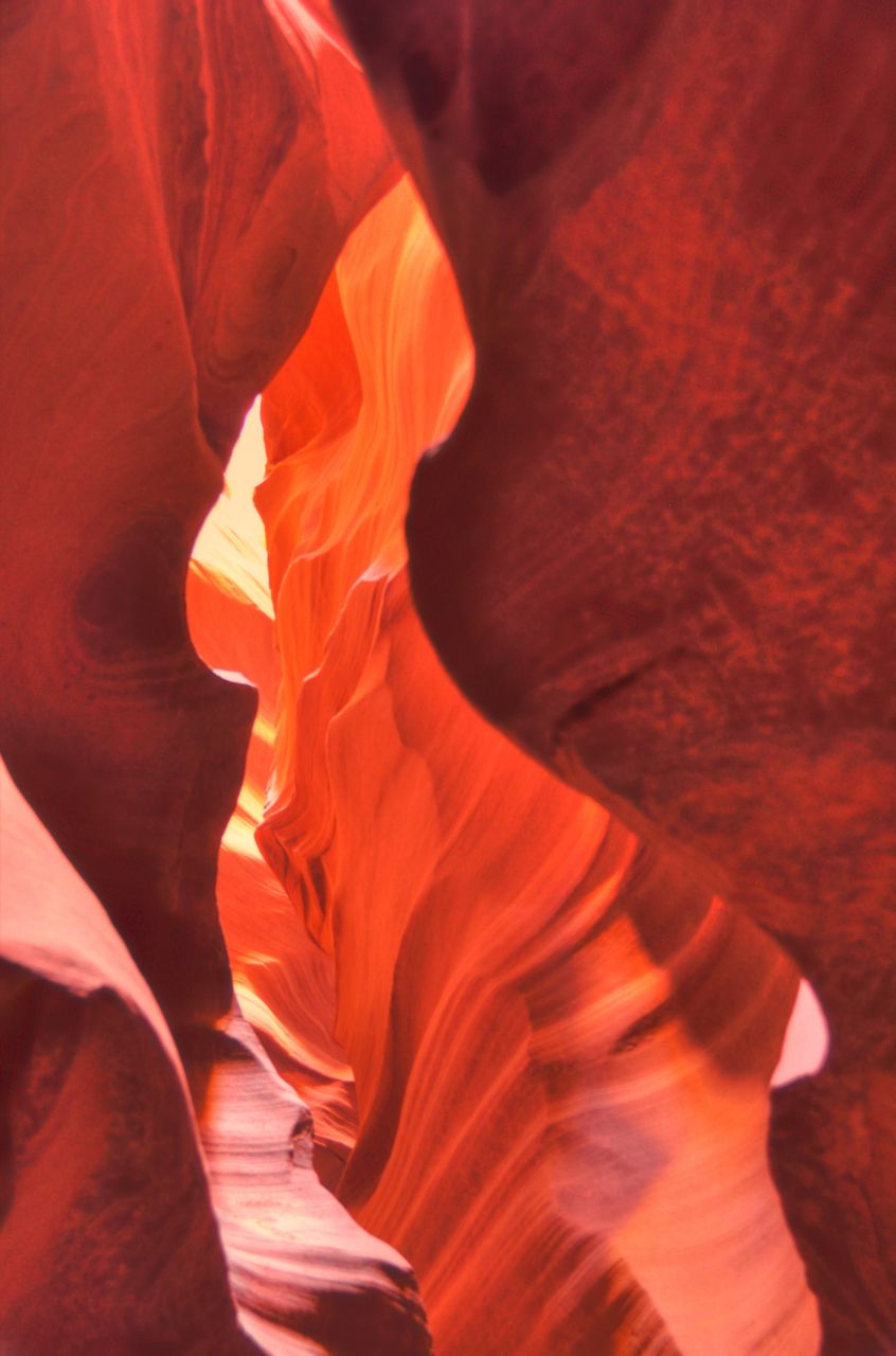 dsc_6511_2_3_tonemapped dsc_6511_2_3_tonemapped