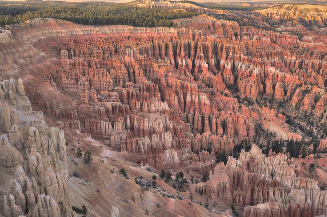 dsc_6981_2_3_tonemapped dsc_6981_2_3_tonemapped