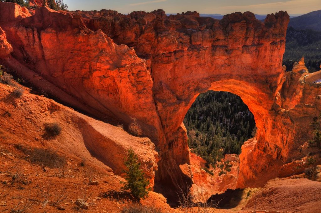 dsc_7094_5_6_tonemapped dsc_7094_5_6_tonemapped