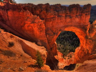 dsc_7094_5_6_tonemapped