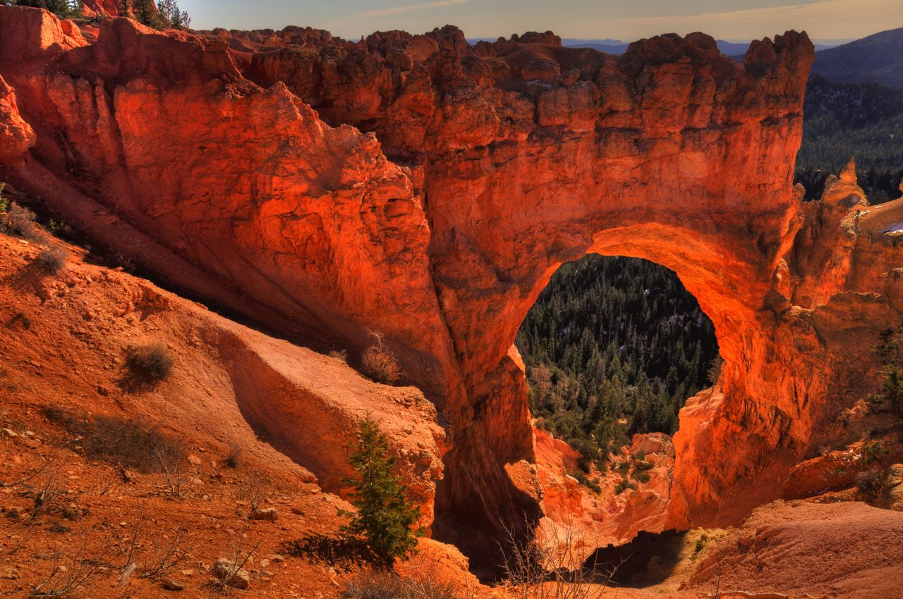 dsc_7094_5_6_tonemapped dsc_7094_5_6_tonemapped