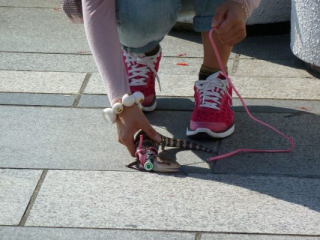 japan11-01-31 japan11-01-31