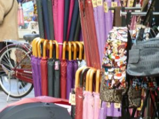 japan11-01-34 japan11-01-34