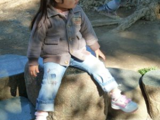 japan11-01-39 japan11-01-39