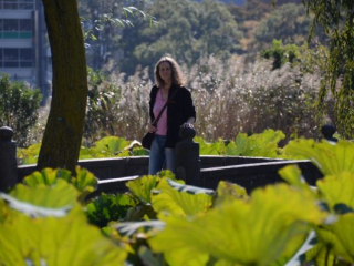 japan11-01-59 japan11-01-59