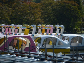 japan11-01-61 japan11-01-61