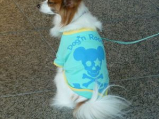 japan11-02-23 japan11-02-23