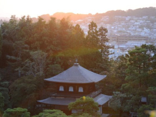 japan11-02-42 japan11-02-42