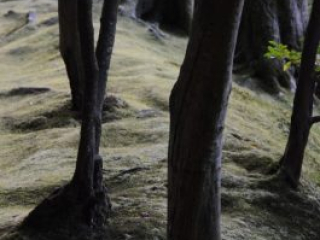 japan11-02-43 japan11-02-43