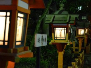 japan11-02-49 japan11-02-49