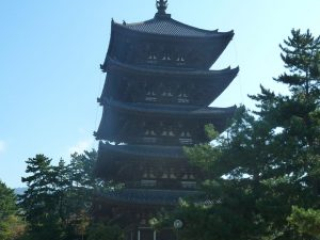 japan11-03-009 japan11-03-009