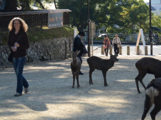 japan11-03-011 japan11-03-011