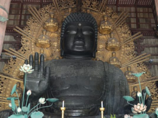 japan11-03-030 japan11-03-030