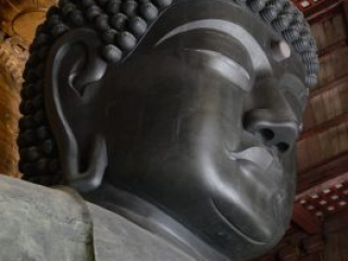 japan11-03-036 japan11-03-036