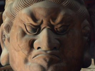 japan11-03-037 japan11-03-037