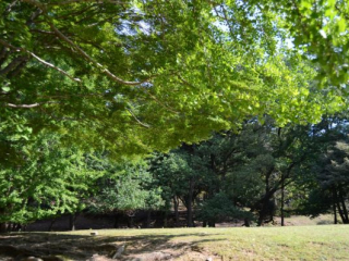 japan11-03-047 japan11-03-047