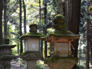 japan11-03-054 japan11-03-054