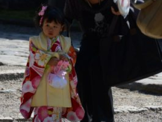 japan11-03-061 japan11-03-061