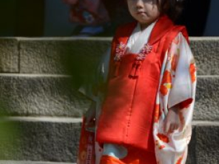 japan11-03-064 japan11-03-064