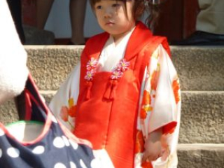 japan11-03-065 japan11-03-065