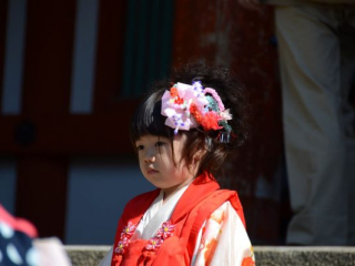 japan11-03-066 japan11-03-066