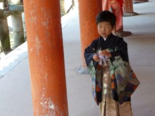 japan11-03-070 japan11-03-070