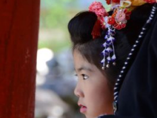 japan11-03-071 japan11-03-071