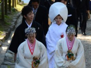 japan11-03-073 japan11-03-073