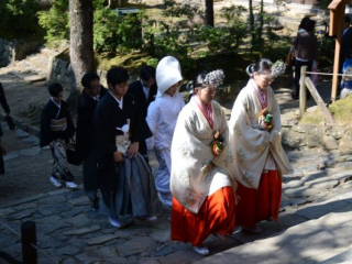 japan11-03-074 japan11-03-074