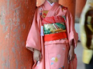 japan11-03-076 japan11-03-076