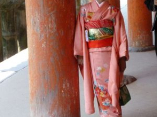 japan11-03-079 japan11-03-079