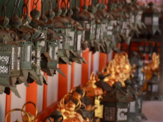 japan11-03-082 japan11-03-082