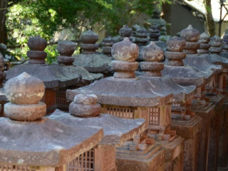 japan11-03-085 japan11-03-085