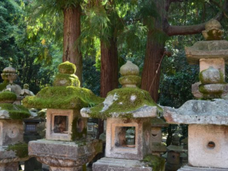 japan11-03-087 japan11-03-087