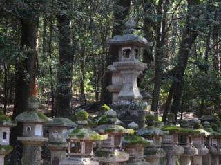 japan11-03-088 japan11-03-088