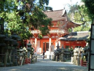 japan11-03-090 japan11-03-090