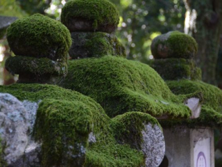 japan11-03-093 japan11-03-093