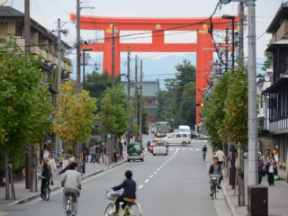 japan11-03-105 japan11-03-105